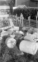 Filename=TW171003.jpg
Filesize=300KiB
Dimensions=500x800
Date added=Nov 16, 2017 TW171003.jpg
