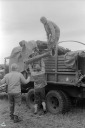 TW240049.jpg