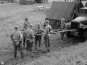 TW240074.jpg