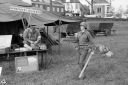TW240080.jpg
