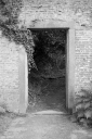 VA240730.jpg