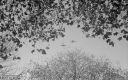 Filename=VD181007.jpg
Filesize=330KiB
Dimensions=800x500
Date added=Oct 29, 2018 VD181007.jpg