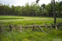 Filename=VK210515.jpg
Filesize=576KiB
Dimensions=800x532
Date added=May 09, 2021 VK210515.jpg