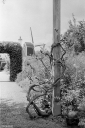 VV250803.jpg