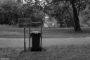 Filename=WS260501.jpg
Filesize=513KiB
Dimensions=1024x681
Date added=Jun 08, 2026 WS260501.jpg