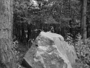 Filename=WW131006.jpg
Filesize=372KiB
Dimensions=800x600
Date added=Jun 05, 2020 WW131006.jpg
