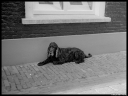 Filename=WW140805.jpg
Filesize=289KiB
Dimensions=820x620
Date added=Jun 05, 2020 WW140805.jpg