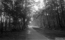 Filename=XN210101.jpg
Filesize=290KiB
Dimensions=800x500
Date added=Jan 10, 2021 XN210101.jpg