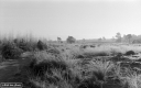 Filename=XN210116.jpg
Filesize=251KiB
Dimensions=800x500
Date added=Jan 10, 2021 XN210116.jpg