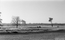 Filename=XN210117.jpg
Filesize=235KiB
Dimensions=800x500
Date added=Jan 10, 2021 XN210117.jpg