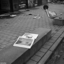 Filename=ZI260509.jpg
Filesize=598KiB
Dimensions=1024x1024
Date added=May 16, 2026 ZI260509.jpg