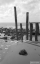 Filename=ZL190434.jpg
Filesize=206KiB
Dimensions=500x800
Date added=May 06, 2019 ZL190434.jpg