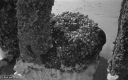 Filename=ZL190435.jpg
Filesize=276KiB
Dimensions=800x500
Date added=May 06, 2019 ZL190435.jpg
